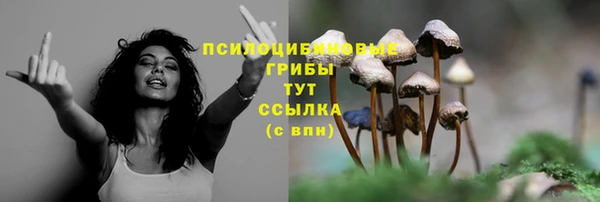 прущий лед Лихославль