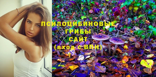 хмурый Верея